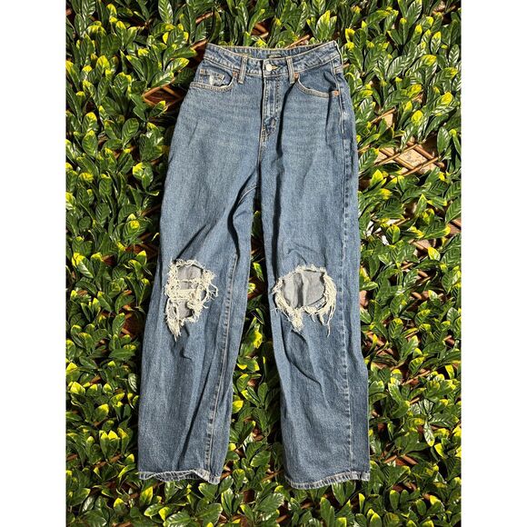 Wild Fable Highest Rise Baggy Jean Size 2 - Picture 1 of 4